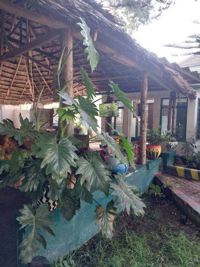 Green Garden Guest House アルーシャ エクステリア 写真